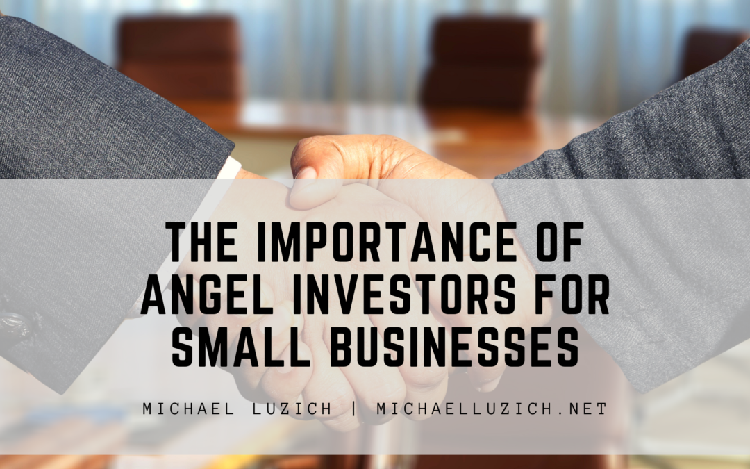 The Importance Of Angel Investors For Small Businesses Michaelluzich.net (1)
